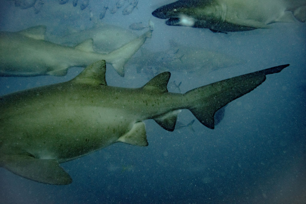 cd45427a-af4c-4940-84e6-5ac26b80442b