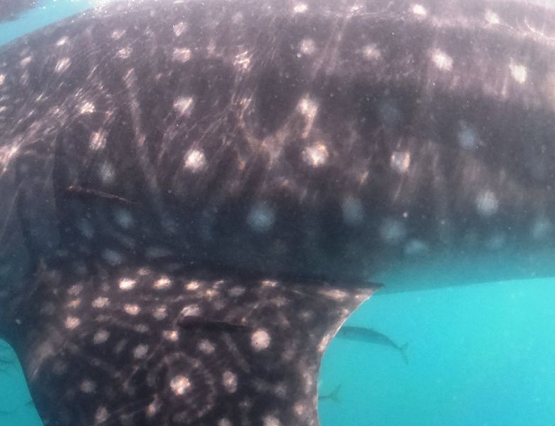 a8e05f84-502d-429b-902a-e60103a2b625