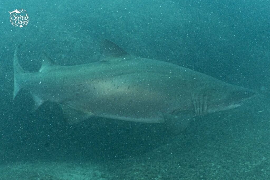 d42288ac-da0b-4c39-b28e-e9c3a0979e21