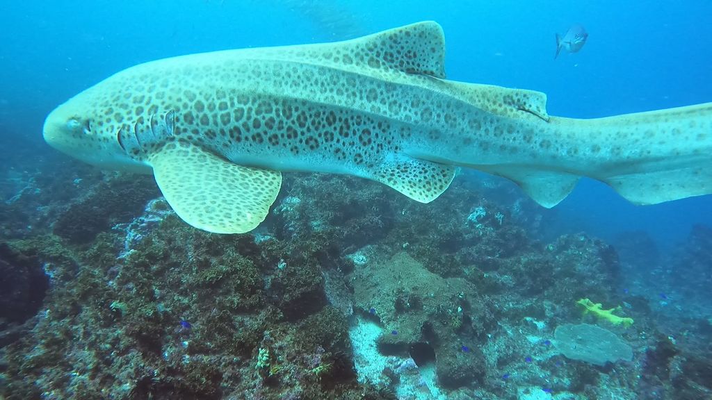 fc7b90ce-af53-49f5-ae88-133f5fc0a6a8