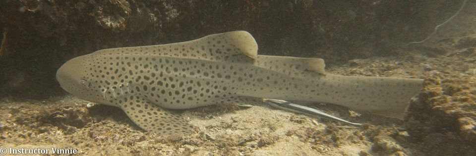 fac205ae-8772-4e22-93e7-cb9bae2f69f8