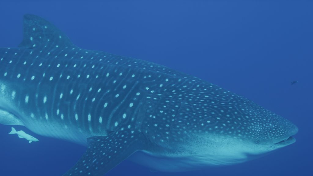 d0a0bb43-99d4-4cab-ab9b-9b4addc0a140