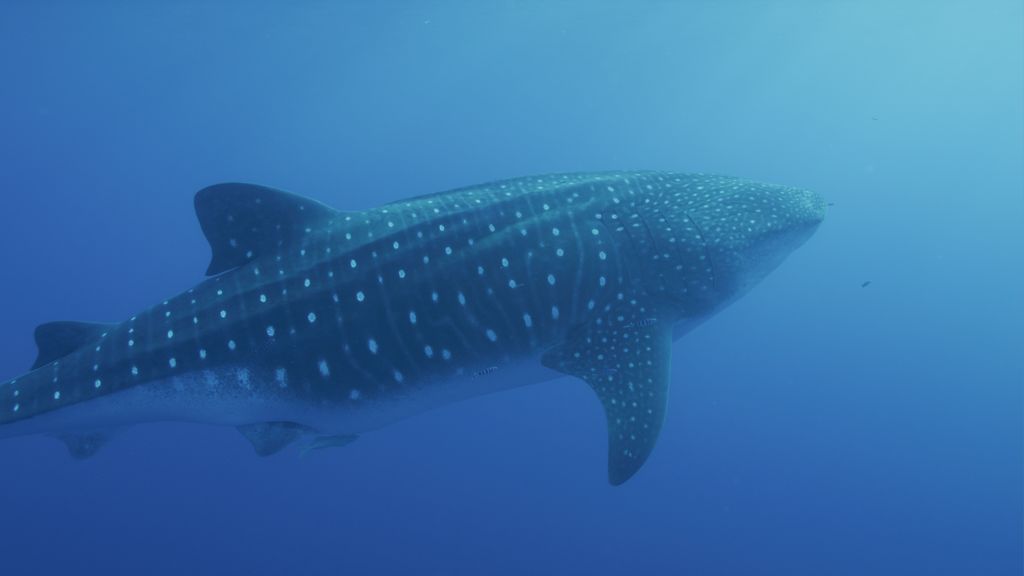 d0a0bb43-99d4-4cab-ab9b-9b4addc0a140