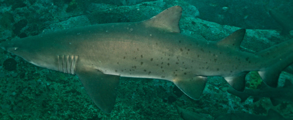 af28eee1-04ff-4fcd-8ade-308c7da9a201