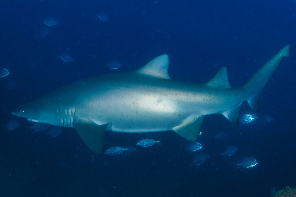 592a31b3-edca-472c-9b89-6a3643f6aba9