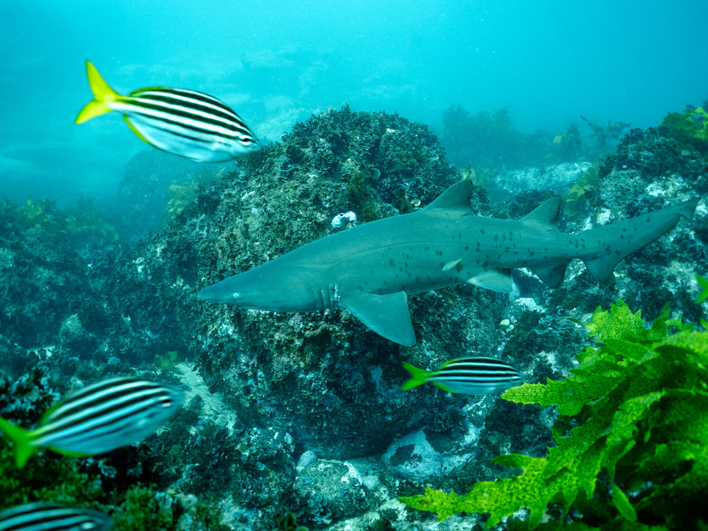 88347eed-bb4f-4517-9a0b-ad9a88e69581