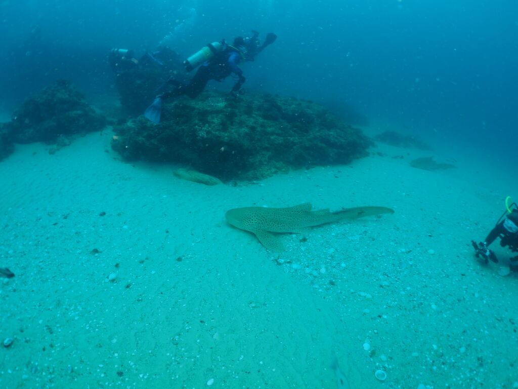 a8fbd478-8d07-47a3-9147-3ea985fbd342