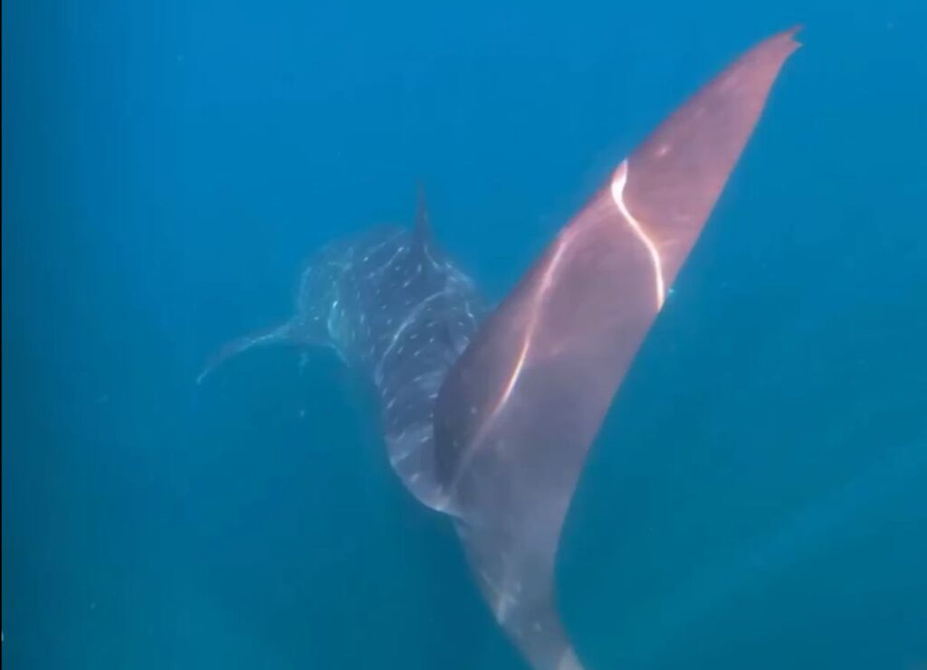 6d708767-68d8-40c4-917b-07760501ceda