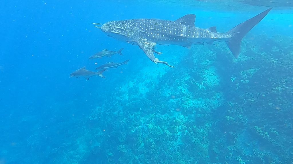 933af195-a92e-4bae-b173-7fbaf149ca6a