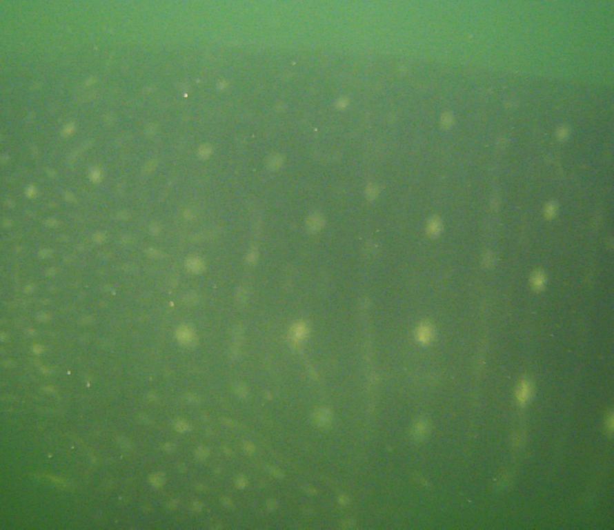 4665d063-0932-4b3f-af9c-a9bdc1fa6d58