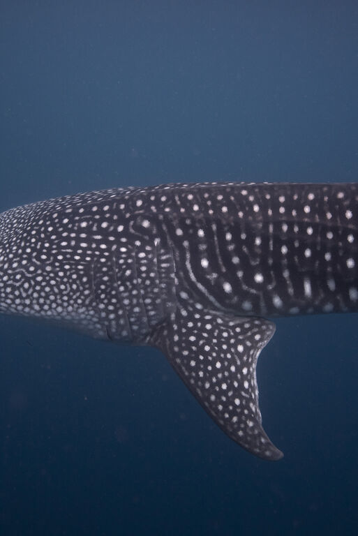 2b9e44ee-3888-45c7-a3b0-f4866ddd838a