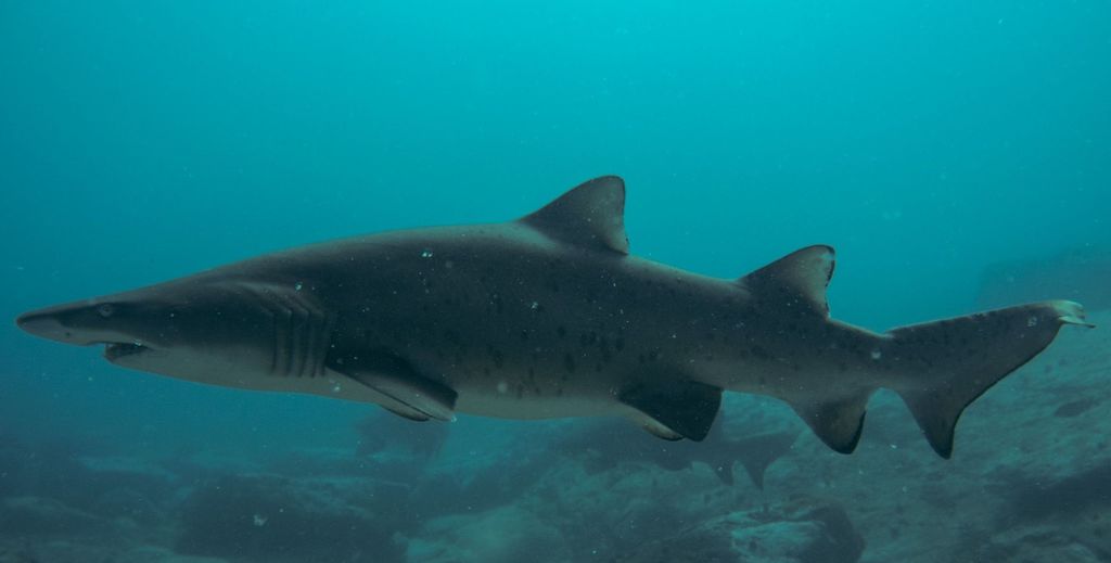 f358e760-d907-4401-8cc3-4c0756568745