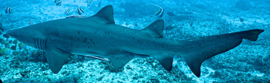 5ae4416e-1b1c-41a4-a353-b2ef310dff59