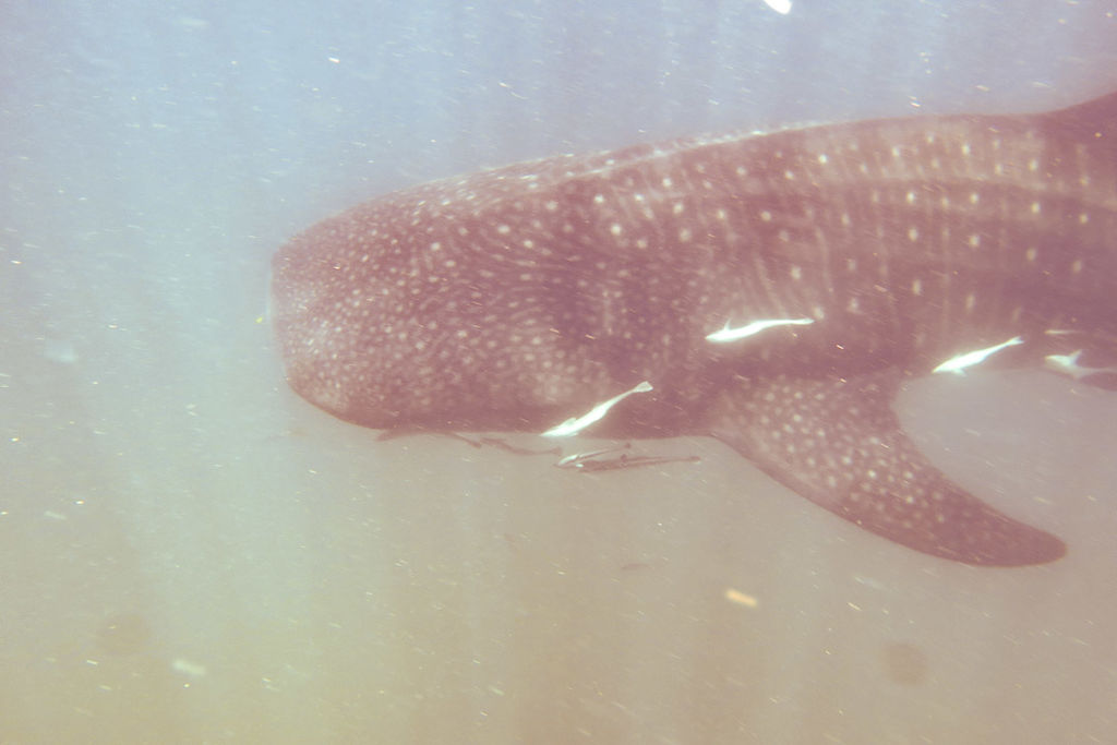 48b4d919-9ca6-4345-81b9-4d3a1e841b31