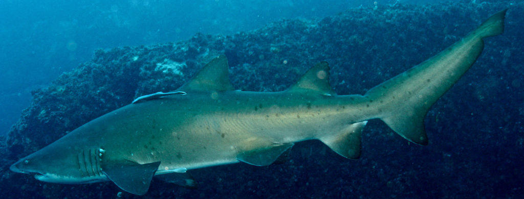 765a2bf4-4f0d-458f-a549-78b5fa9559d5