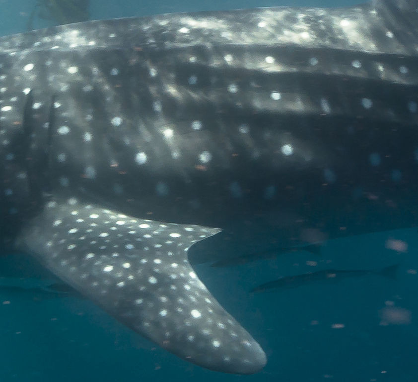 e4400d2d-ceac-4ace-bd7b-71027bccaa9f