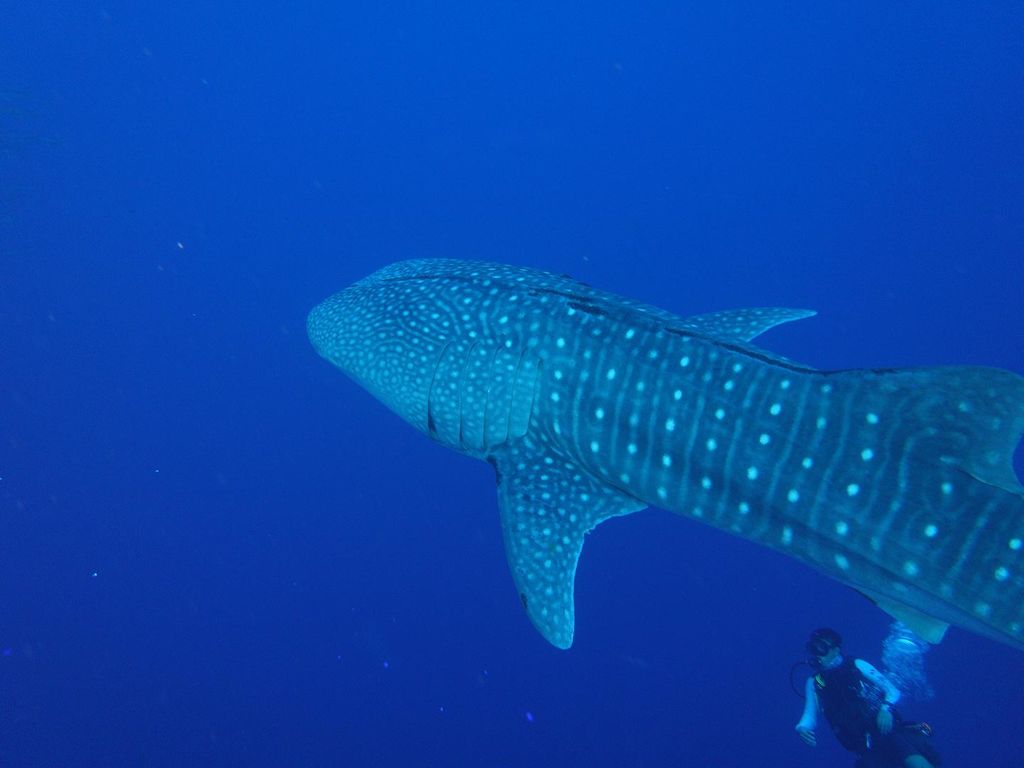 403e4e26-9048-4de1-87d8-1786bec0296d