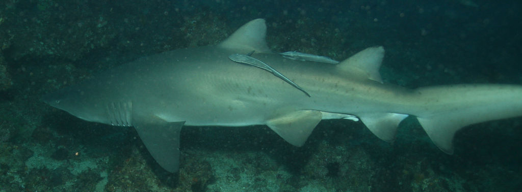 2a8f4b60-c456-4bda-be6c-bc57d8f601d0