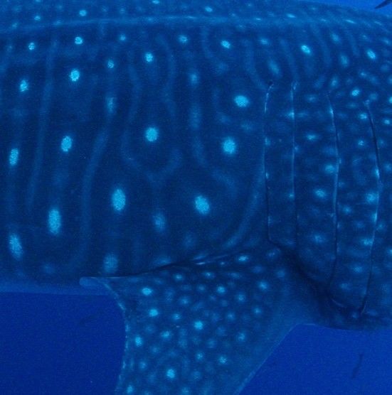 4772eb03-9aca-422b-83c8-66588c131f3d