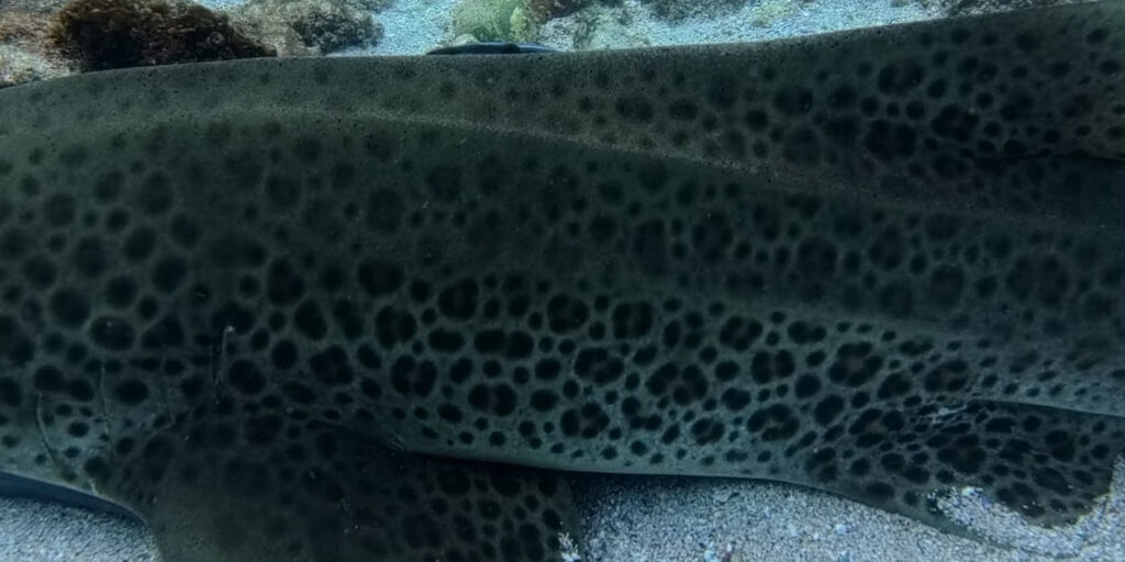 be2c2f44-b853-45d9-8800-406f11a001de