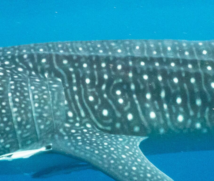 5f551a0b-ed54-4e85-86a8-fe70dd82bddf