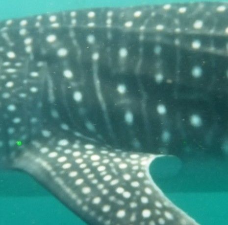 575c2cdc-b1f1-48d8-9fd1-eedfd62dd161