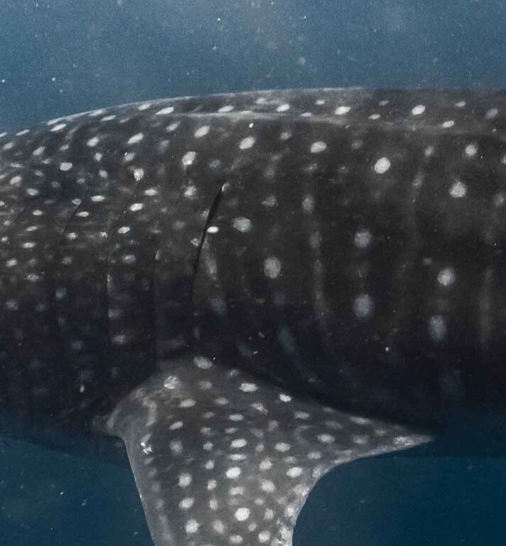 d90cf896-f424-412d-b96f-568225fee1e6