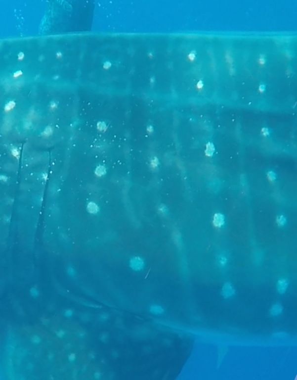 349d8508-2ac0-49a2-ac07-ba675d4ec3d8