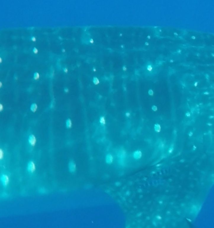 349d8508-2ac0-49a2-ac07-ba675d4ec3d8