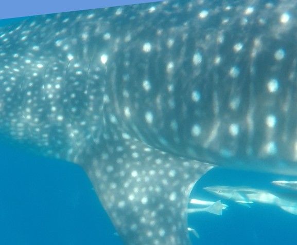 fd7c2e42-2e8c-4ebe-88f3-1557d36e701b