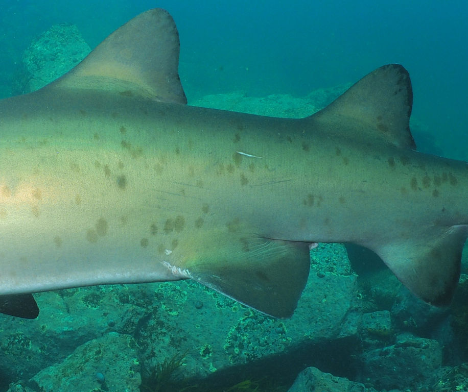 4731e8f1-b78b-4b50-9bdb-2109d85fca07