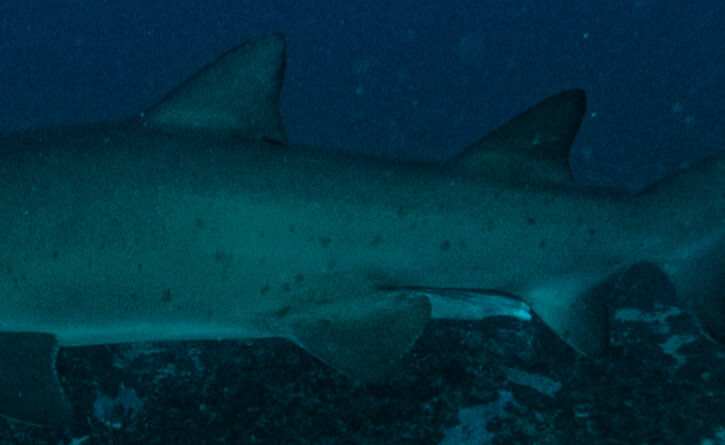 b608376c-746f-4a55-a240-b955b46b28bb