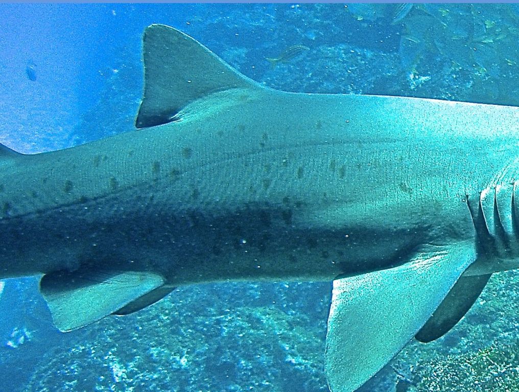 50505999-ed94-4d3d-9830-5d46078cdc2e