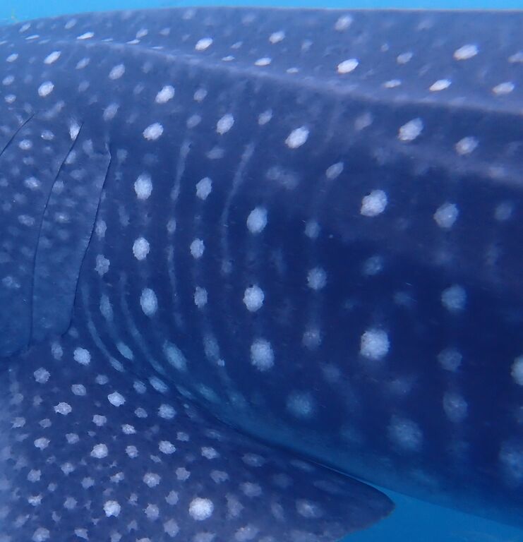 41c5f1d6-026e-45b3-9bd9-d0f8ba6ebbbf