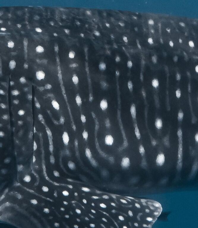 01649354-40f9-45ea-a85d-31e0d11e5dd1