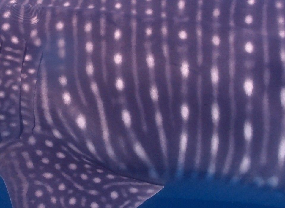 ebc6245a-0e0f-46d2-b989-330a1c8bcdf5