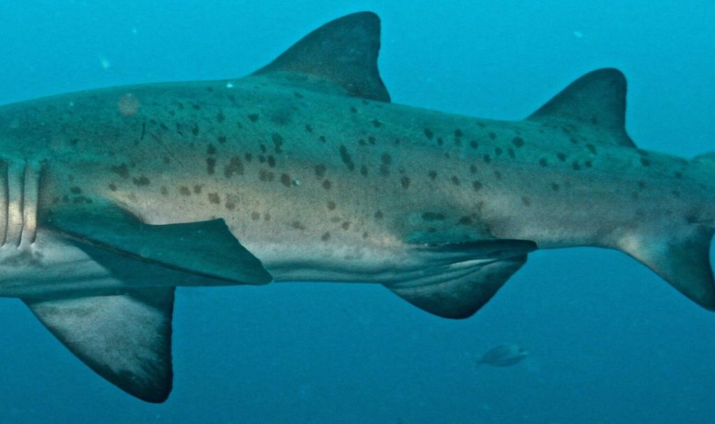 60ceb3f8-ee3d-4a0c-a24d-26321fa3cfab