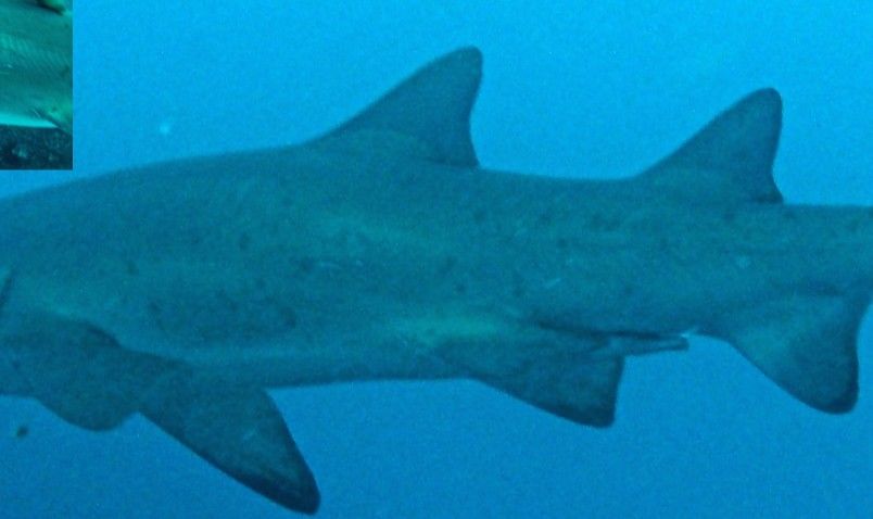 5b7ae46c-4604-4f09-8fdc-efaf1642ee79