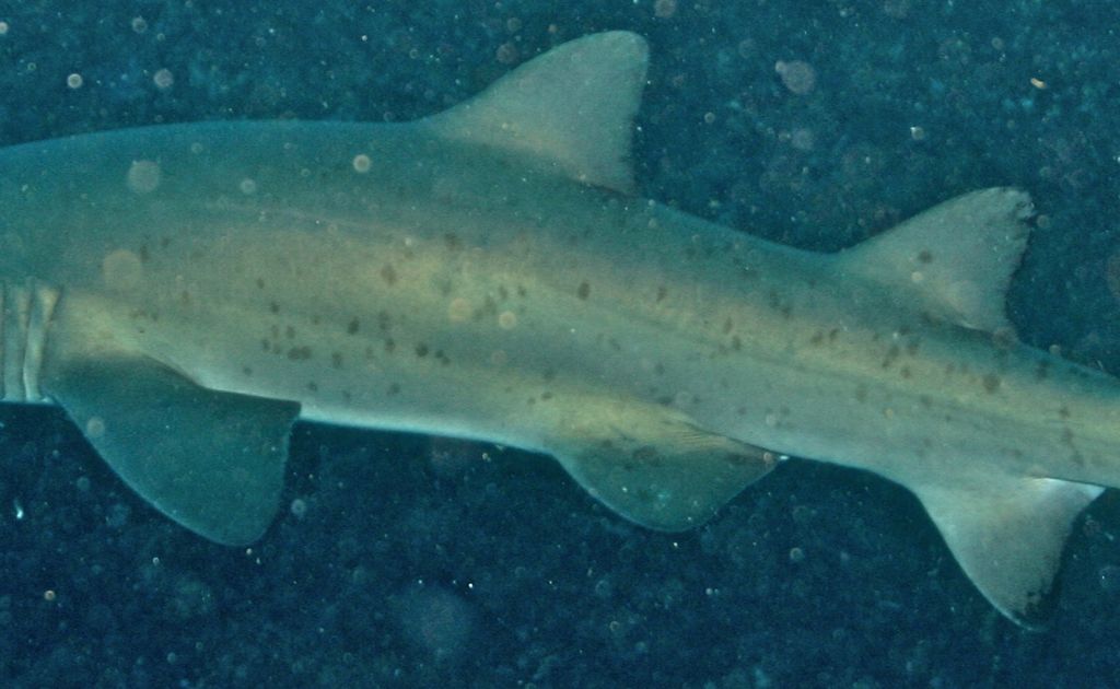 8db58cb3-0945-4dc1-a2a3-1cb3e06bf54d