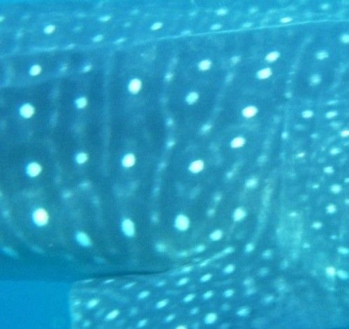 9b2720a0-b6c4-4058-866f-baeee09b75d4