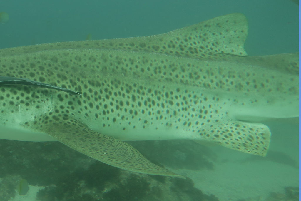 844d9906-4e48-4e70-86ed-e392cd214d7d