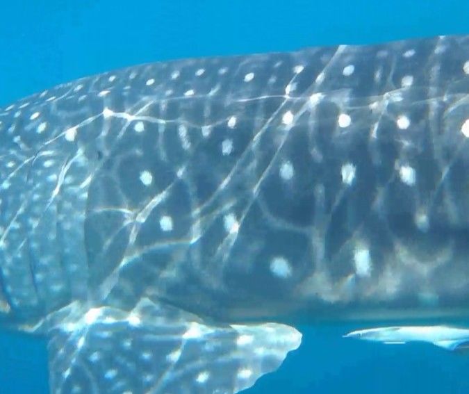 d5df88e1-f10f-41bb-b2f2-45c6ffe6b3ab