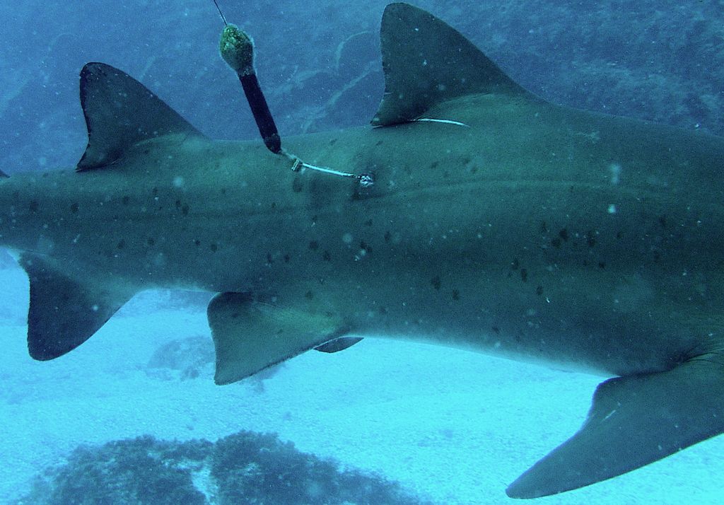 895a7791-f384-46e1-89df-1c6a776ddf67