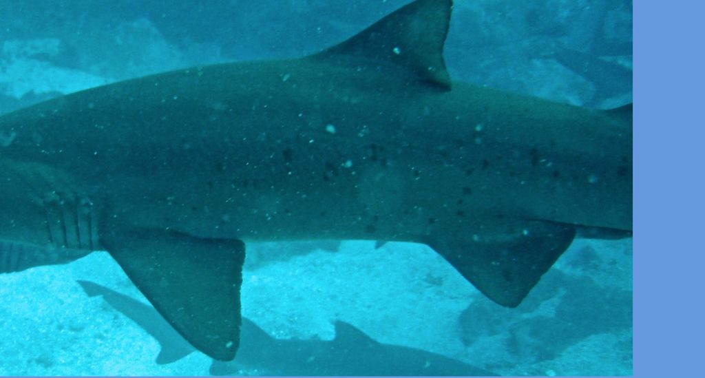 5fa9433b-9662-4709-9703-728f168ec0ac