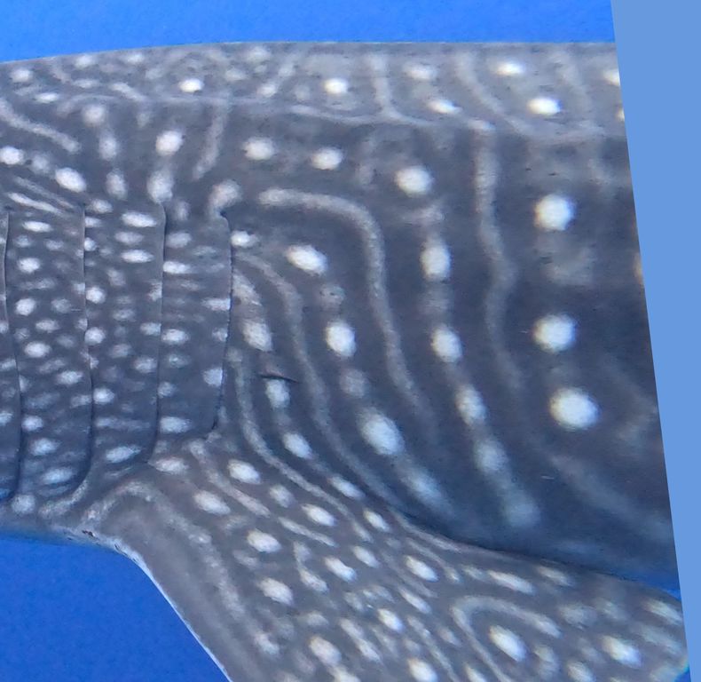 726d1338-102b-4cc7-a1af-eee80b8c0d33