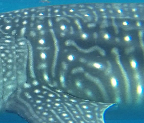 33944c05-9523-4c8f-be94-dd7b6e664663