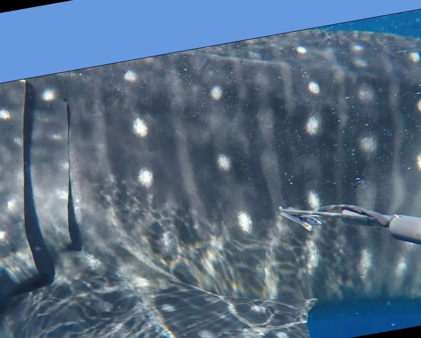 d346ca2f-0ba2-408b-84ce-6a5fdd01a1bf