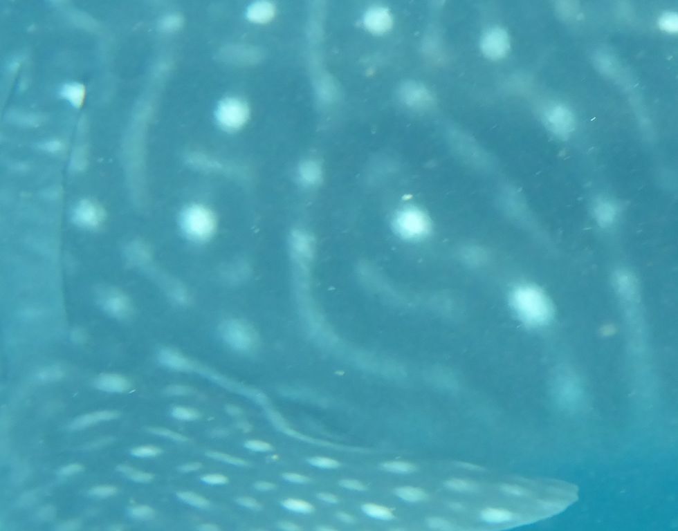 1f846318-2c16-4841-9826-85be23cd5928