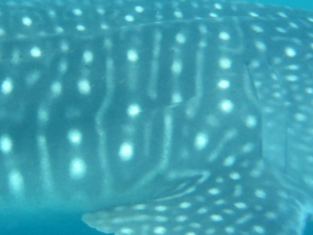 1f846318-2c16-4841-9826-85be23cd5928