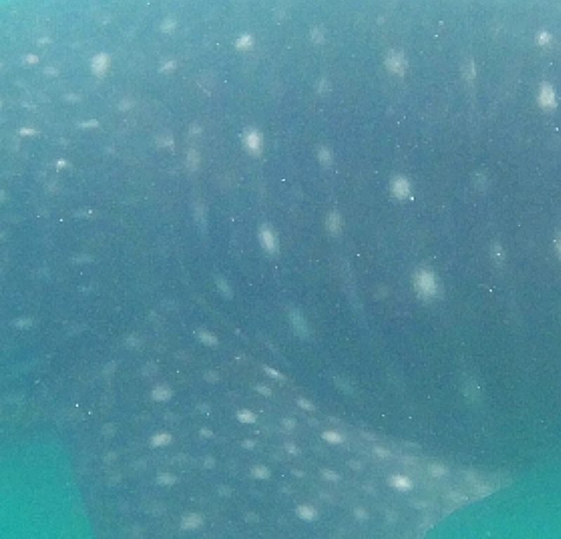 e88b27c6-e700-479b-835f-1ff671f6fb8e